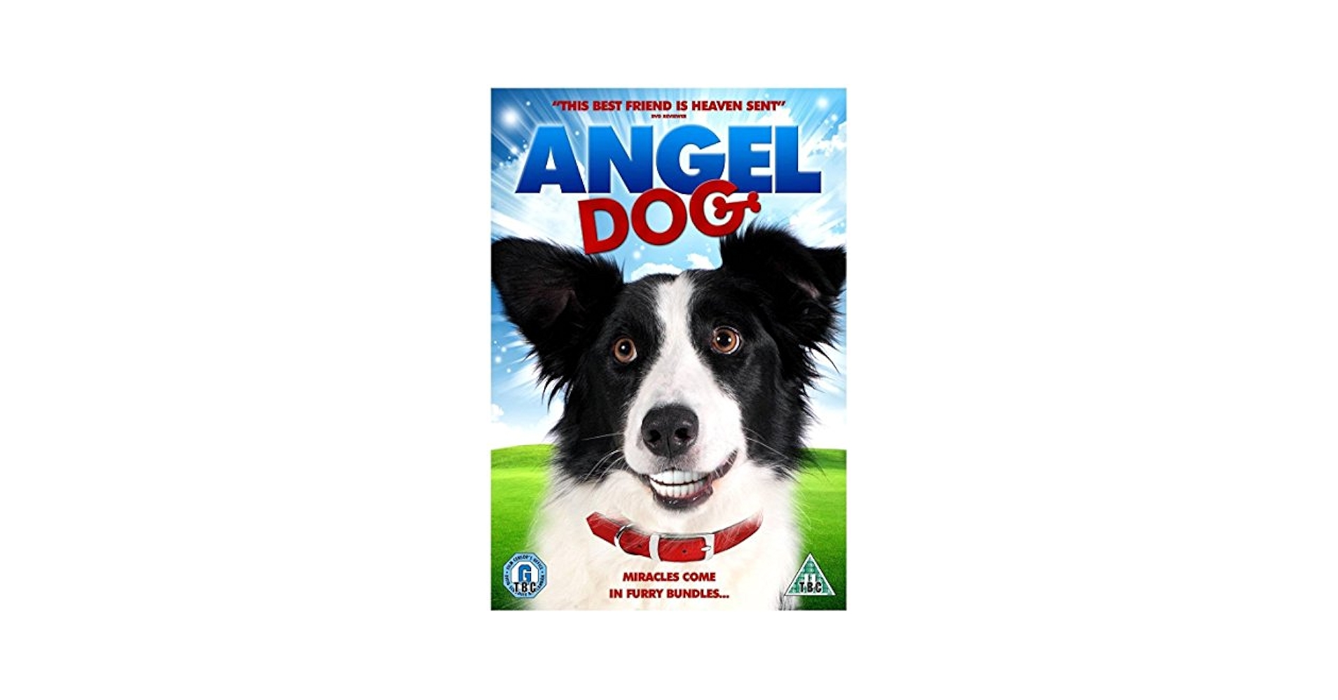 DOG FIGHT DVD ONE NITE LIVE STILL CRAZ Ⅱ Dog Fight DVD One