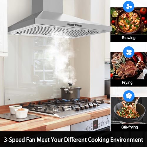 Tieasy Range Hood 30 Inch, Vent Hoods 30 Inch Stainless