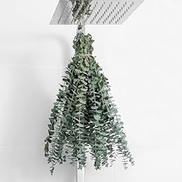 10 Pcs Dried Eucalyptus...