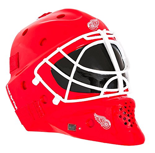 Evergreen Enterprises, Inc Landscape Melodies Detroit Red Wings Helmet