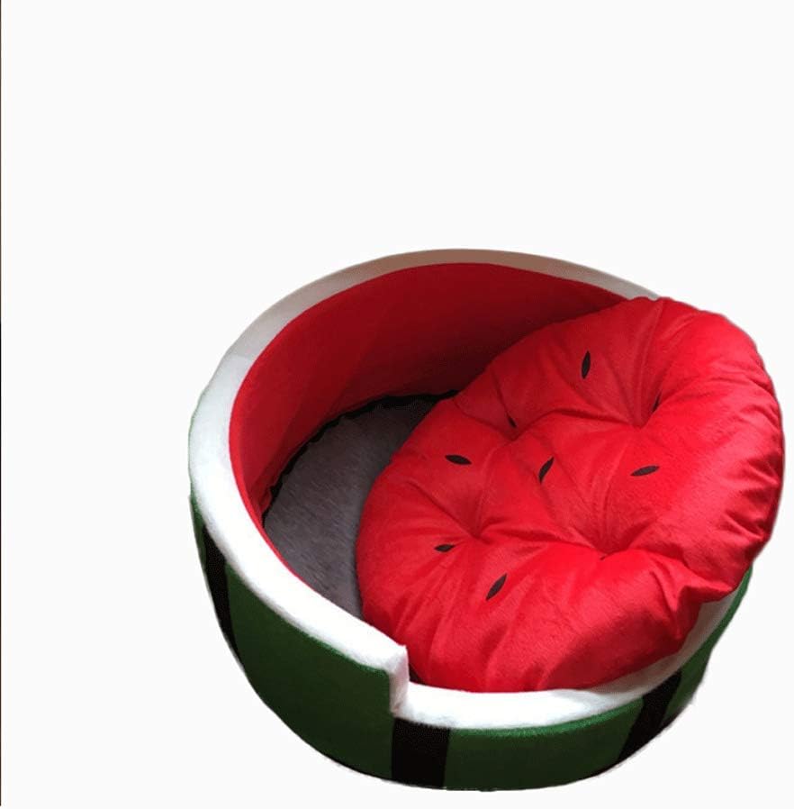 watermelon dog bed