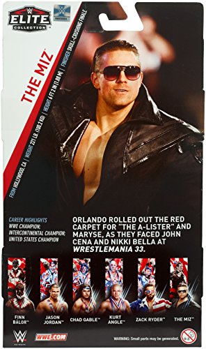 WWE MATTEL FMG60 Figura, colori/stili possono