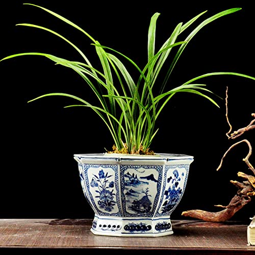 Pot de plante en céramique avec trou de drainage et soucoupe pour éviter les racines pourries