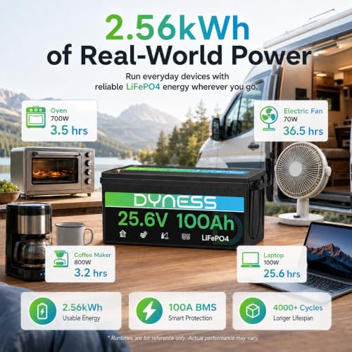 Image of Dyness 24V 100Ah LiFePO4 Lithium Battery, 2560Wh Large Capacity with Smart 100A BMS, 4000+ Deep Cycle, 10-Year Lifetime, Supports 4P2S Connection Up to 20.48kWh, Perfect for RV, Solar System, Marine