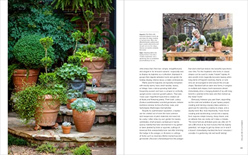The Elegant and Edible Garden: Design a Dream Kitchen Garden to Fit Your Personality, Desires, and Lifestyle - Image 6