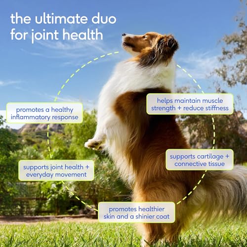 Image of Native Pet Omega 3 Fish Oil for Dogs 16Oz & Advanced Care Hip & Joint Supplement for Dogs 12.7Oz Powder for Mobility & Movement - Supports Healthy Skin, Coat, Joints, Cartilage & Muscle