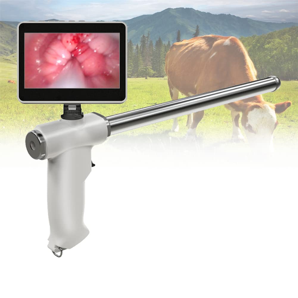 Buy ACGEND Insemination Kit for Cows Cattle Visual Insemination ...