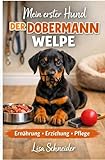  Mein erster Hund der Dobermann Welpe: Ernährung, Erziehung und Pflege
