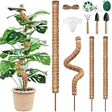 thermal propagation deutsch 🥥【Unterschiedliche Größenkombinationen】Selizo rankstab-Set kommt in zwei Größen von Kokosstäben: 65cm und 35cm, die Unterstützung für das Wachstum und die Ausbreitung von verschiedenen Pflanzen bieten, und es kommt mit drei Arten von Bindungen, um Ihre Pflanzen zu sichern, ihnen zu helfen, Sonnenlicht und Wasser besser zu absorbieren und mehr reife Blätter zu wachsen！