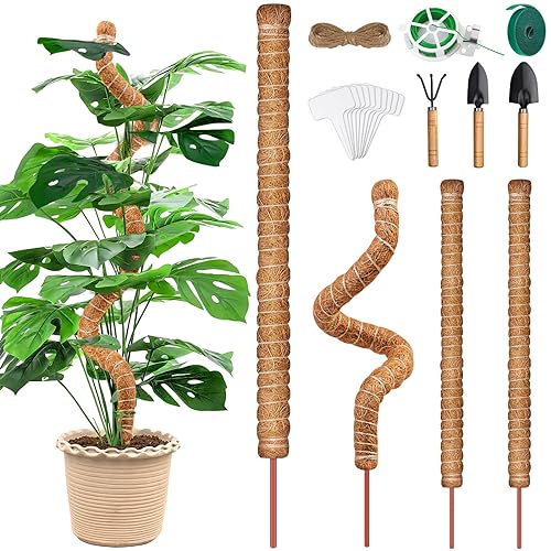 Rankgitter Für Kletterpflanzen – 2-teiliges Set, Rostfrei & Kunststoffbeschichtet, Ideal Für Rosen, Clematis & Gemüse