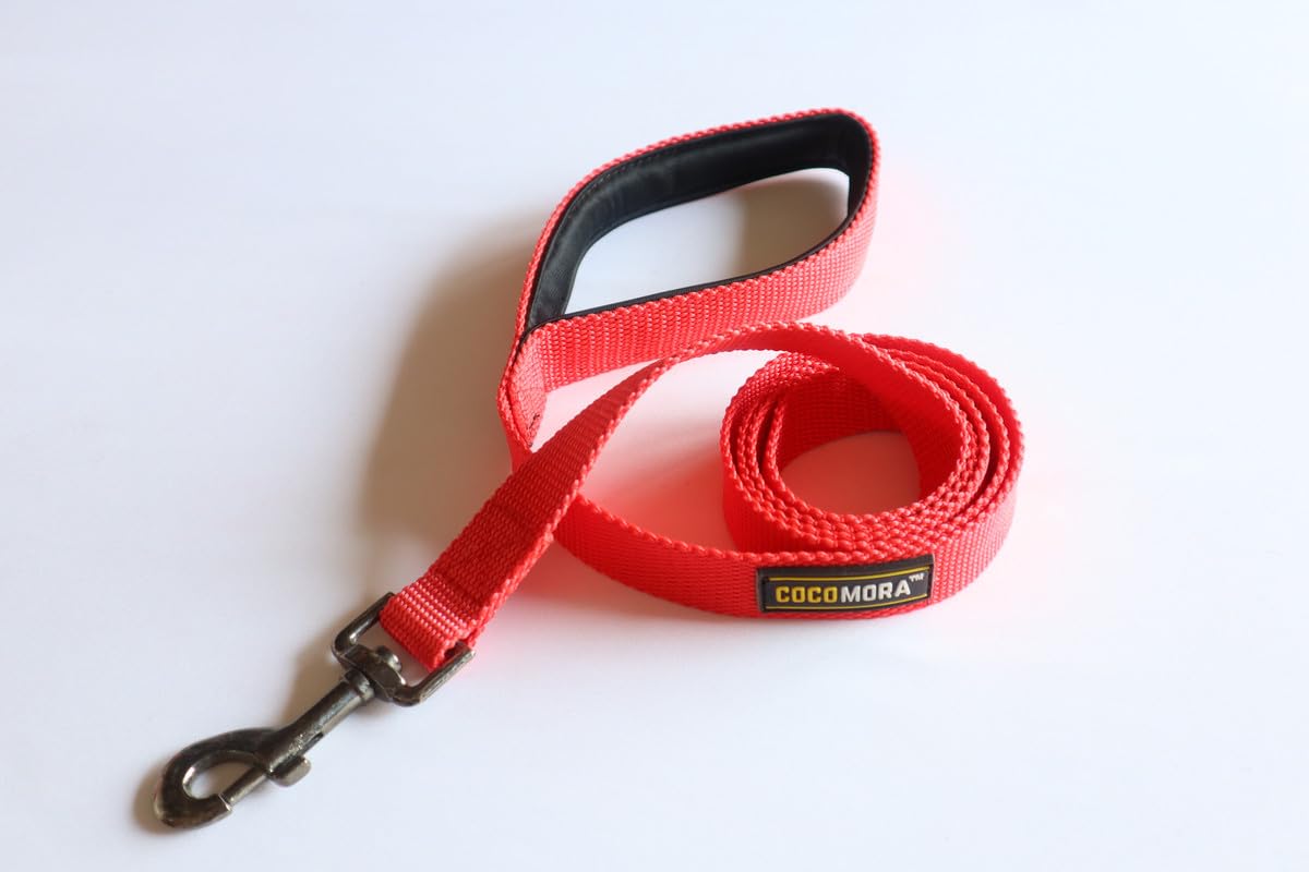 Cocomora Dogs Poly Leash is Made by Heavy-Duty & Durable Nylon, Comfort Loop Handle, 360 Swivel Hook Adjustable & Shock Absorbing for Training & Walking Dog Leash (L-5ft / w-2.5cm Blue) (B0CSJR8T2S) Amazon Price History, Amazon Price Tracker
