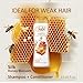 SILK 2 in 1 Shampoo and Conditioner for Weak Hair – Anti-Breakage & Fortifying with Real Honey – Strengthens Brittle Strands – Mens & Womens Hair Care – Honey Blossom Scent, 13.6 Fl Oz (Pack of 2)
