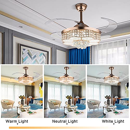 Ventilateur de plafond rétractable 42 pouces avec éclairage LED 3 vitesses - 6