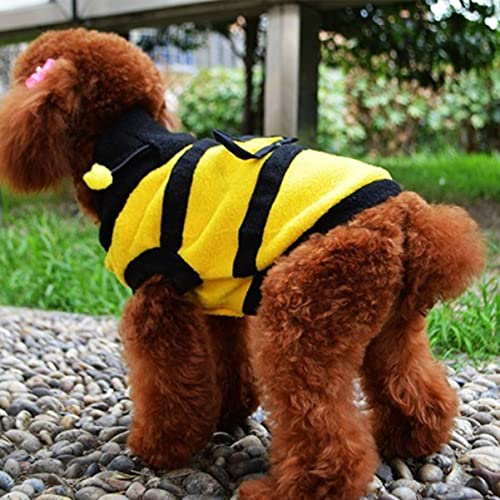Disfraz Abeja para Perro Pequeño Sudadera Halloween miniatura 6