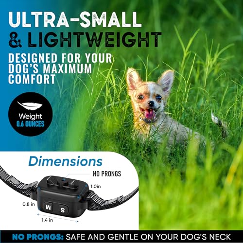 Tiny Bark Collar for Small Dogs 5-15 lbs and Puppies - No Shock Anti Barking Collar - Rechargeable Smart Collar for Dog Training with 7 Sensitivity Levels and 3 Beep&Vibration Modes - Thumbnail 7