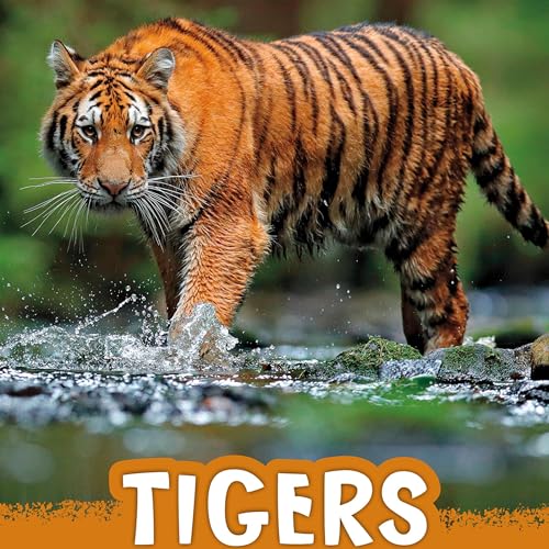 Tigers by Jaclyn Jaycox episode artwork