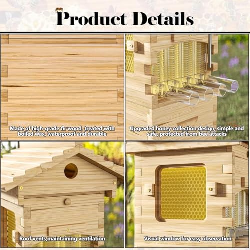 Bienenstock-Set – Strömungsstock mit Beobachtungsfenster & Honigauslauf, Bienenbox aus Holz mit integriertem Zimmermann-Bienenhaus