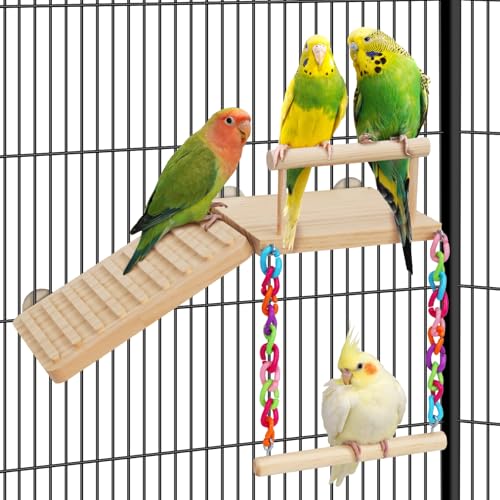 ZooVibe Bird Perches Platform Swing with Climbing Ladder Birds Toys Cage Accessories for Cockatiels Lovebirds Pacific Parrotlets Chinchilla Hamster Play Gym Exercise Stand