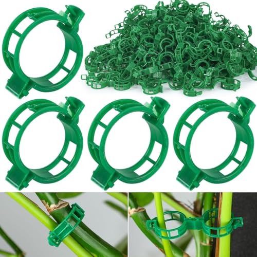 100PCS Plant Support Clips,Garden Plant Support,Plant Clips for Climbing Plants,Vine Clips Flower Stem Clips for Fixing Tomatoes, Vegetables, Cucumbers (Green)