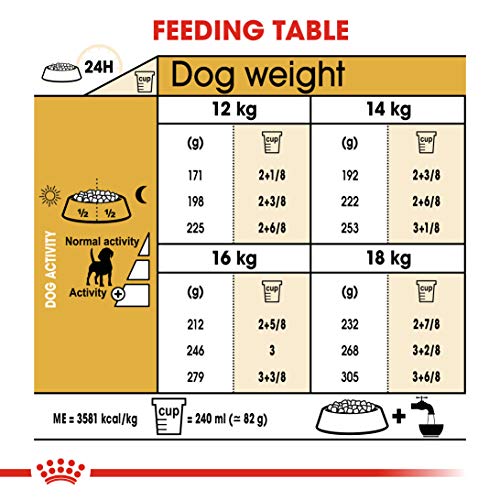 Royal Canin Beagle Adult 12 kg, 1er Pack (1 x 12 kg)