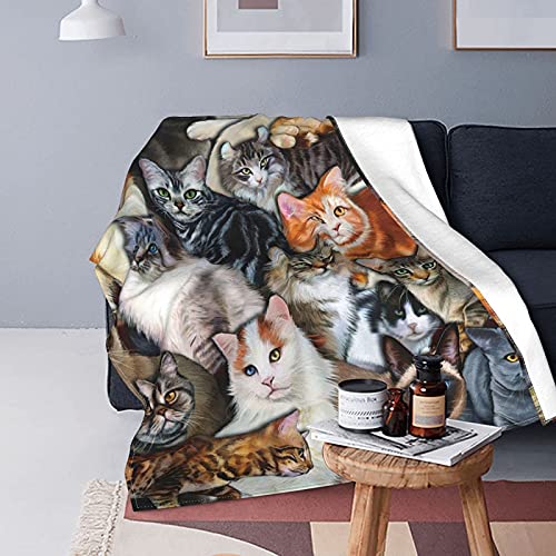 Wowusuo Cat Blanket Animal Throw Bed Blankets Cozy Lightweight Soft Bedding For Sofa And Bed Office Travel 80X60 Inches #TOP4