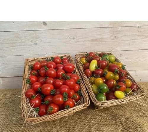 ystzߘa8N 1`6Ig}g  6 g}gD SW c_ mY Yn Â t[cg}g ~jg}g V܂˂ (͂GAiBnj)