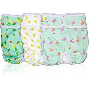 Pet Magasin Washable Dog Nappies, R...
