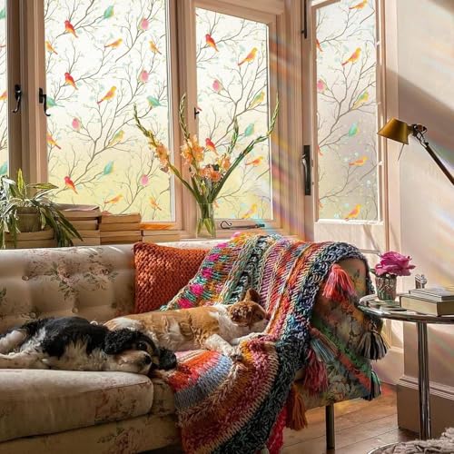 Image of WOO Home Frosted Glass Window Film & Stickers (24 X 120 INCH) Privacy Window Cover for Home & Office - Easy Apply, UV Protection, Removable Decorative Film (Multi Colour Bird Film | 2 X 10 SQFT)