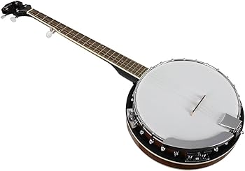 Amazon.co.jp: バンジョー バンジョー 5弦バンジョー 洋楽 ダブ