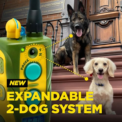 Image of Dogtra E-Collar Tom Davis 280C 2.0 [2025 Edition], Boost & Lock, Waterproof, 1 /2-Mile Range Dog Training Collar with Remote, Rechargeable, 127 Levels, Vibration, Bungee, No Bad Dogs Trainers