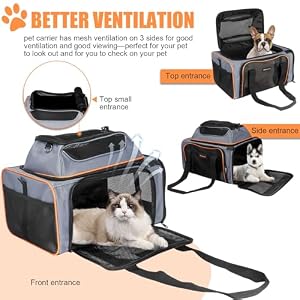 Cat Carrier Pet Carrier Airline Approved,Small Dog Carrier(17x12x12 Ins) for Soft-Sided Carrier for Small Cats and Dogs 15lbs with Harness and Scratch-Proof Net Pet Travel Carrier (Gray) Cat Carrier Pet Carrier Airline Approved,Small Dog Carrier(17x12x12 Ins) for Soft-Sided Carrier for Small Cats and Dogs 15lbs with Harness and Scratch-Proof Net Pet Travel Carrier (Gray)