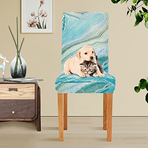 Xigua 2 Pack Dining Chair Covers Teal Blue Gold Marble Stretchable Table Seat Cover Chairs Slipcovers Protector For Hotel Restaurant Home Decor #TOP4