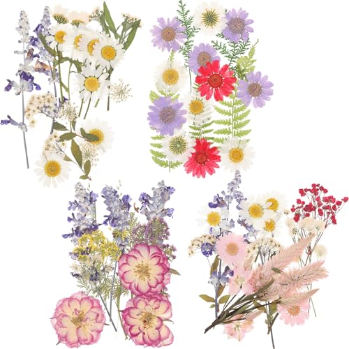 ULTECHNOVO hCt[4Zbg VRhCt[f DIYWG[ lCA[g gѓdbP[Xp H|i [ m