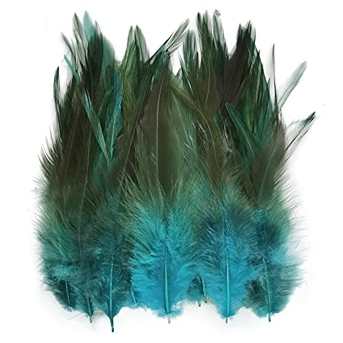 Plumes de coq pour attrape-rêves fait maison et décoration bohème de salon