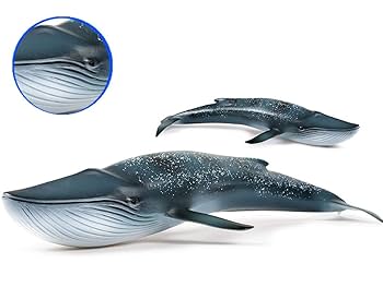 Amazon | EUHELOPA クジラ シロナガスクジラ フィギュア 大きい