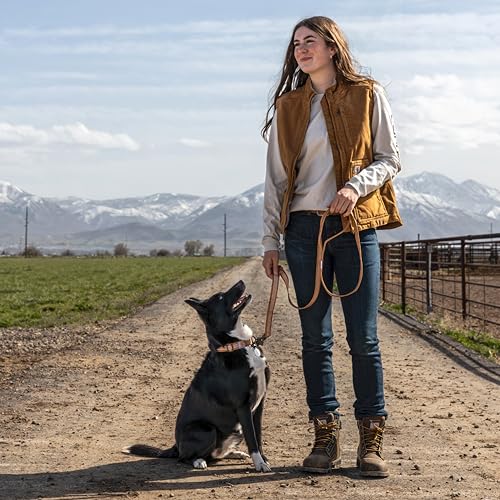 Carhartt Dual Handle Dog Leash, Durable Nylon Webbing Fabric W/Secure Metal Trigger Claw Clasp, Carhartt Brown, Large - Image 5