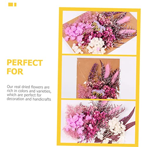 Kit DIY de flores secas para manualidades miniatura 4