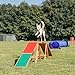 TRIXIE Dog Agility Dogwalk – Dog Agility Walk for Beginner & Advanced Dog Obstacle Courses, Weather Resistant Dog Agility Ramp, Dog Agility Walk and Pause Training Equipment – 179.5 נ11.8 נ25.2 in