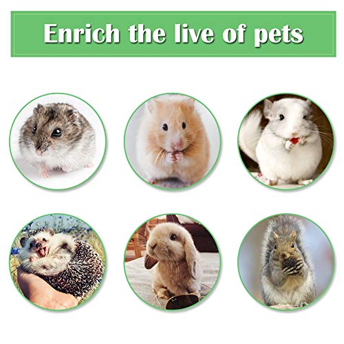 wiwens Small Animal Activity Toy Hamster Houses Hideouts Wooden Rat Playground Platform with Ladders Bridge for Chinchilla, Guinea Pigs, Gerbil, Parrots, Dwarf Mice,and Other Small Animals - Thumbnail 7