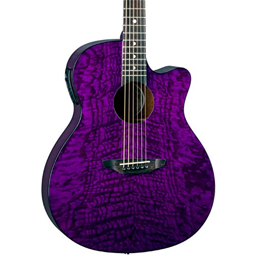 即発送 Luna guitar GYP E ASH ハードケースセット 51KMZXYANZL.jpg