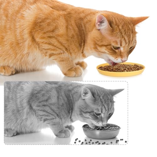 Apricitie 10 Stück Katzennapf Flach Katzen Futternapf 5.9 Zoll Runder Katzenteller Katzenschüssel Bunt Katzenfutter Napfset Für Trockenfutter Und Nassfutter