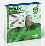Nemaslug® BASF Nematoden 6 Mio. (20m²) gegen Nacktschnecken - wirksam ab 5°C
