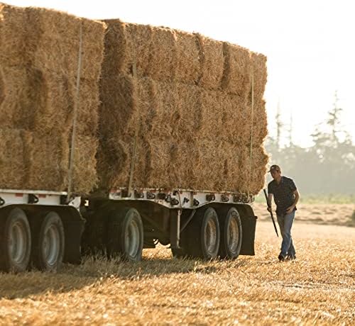 Miniatura 6 de Blue Mountain Hay  Heno fresco de hierba Teff (15 onzas)  Bajo NSC, alto contenido de fibra, control de peso saludable  Alimento para mascotas de