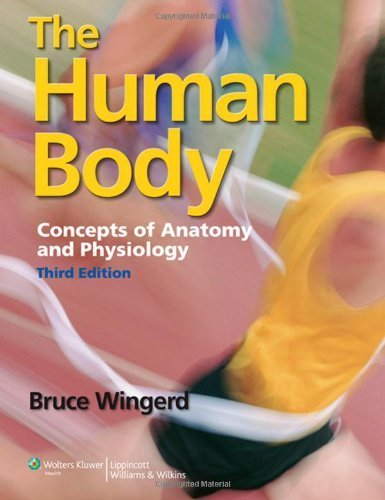 The Human Body: Concepts of Anatomy and Physiology by Mr. Bruce Wingerd M.S. (2013-01-30)