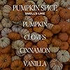 Sweet Water Decor Pumpkin Spice Reed Diffuser Set ... #1