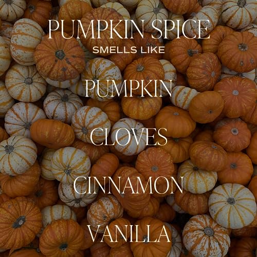 Image of Sweet Water Decor Pumpkin Spice Reed Diffuser Set - Pumpkin, Cloves, Cinnamon, and Vanilla Fall Scented Diffusers - Scent Diffusers for Home, Long Lasting Fragrance, Made in the USA