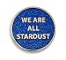 Pinsanity"We Are All Stardust" Enamel Lapel Pin