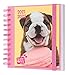 Agenda Escolar 2021 2022 Studio Pets Dogs - Agenda Escolar 2021-2022 / Agenda 2022 dia por página - Agenda 11 meses desde Agosto de 2021 a Junio de 2022 │Producto con licencia oficial - Agenda Erik