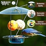 Nature's Way BBFM1 Bluebird Buffet Metal Bird Feeder with Protective Baffle, Outdoor Wild Bird Feeder and Décor, One Glass Dish with 3/4 Cup capacity, Blue - Image 4