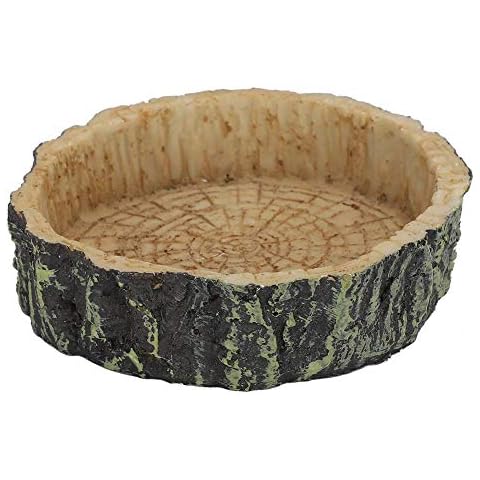 Plato de Comida de Tortuga Redonda de Resina sintética Cover